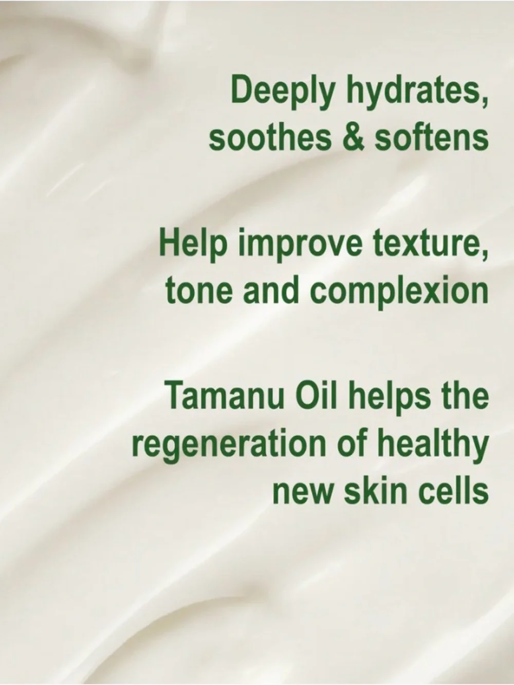 Sea-El Kelp Tamanu Oil Night Cream